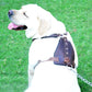 Horse Brown Belt Style Buckles Leather Dog Harness